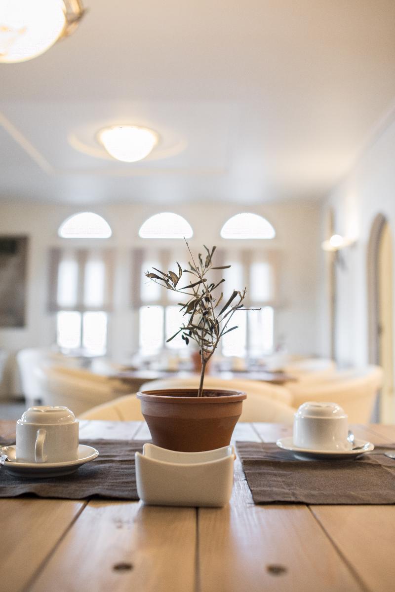 Porto Naxos Hotel 4*